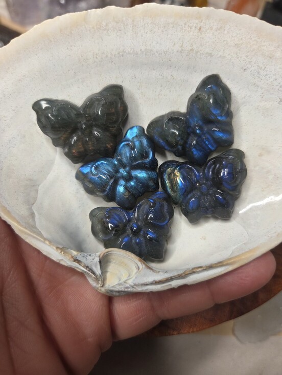 Other - 1 Labradorite Butterfly 1.5 In( Protection)
